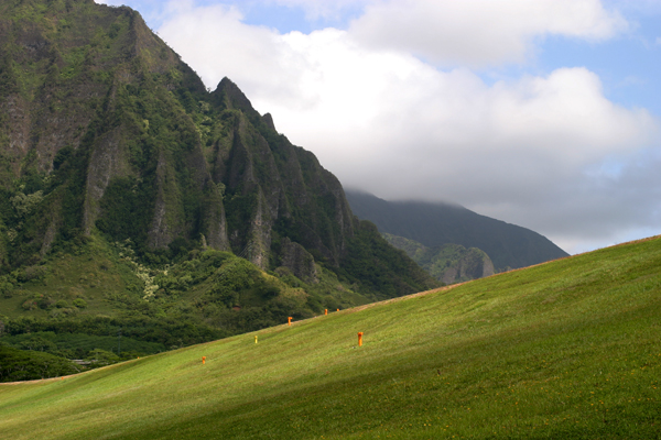 grassy face of Ho'omaluhia dam